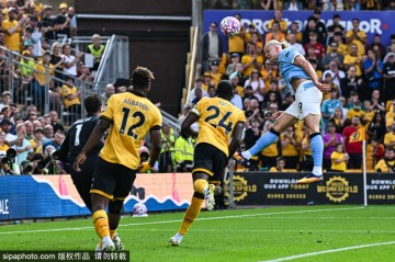 哈兰德147场比赛达成125球曼城队史最快,比阿圭罗少用42场
哈兰德147场比赛达成125球曼城队史最快,比阿圭罗少用42场